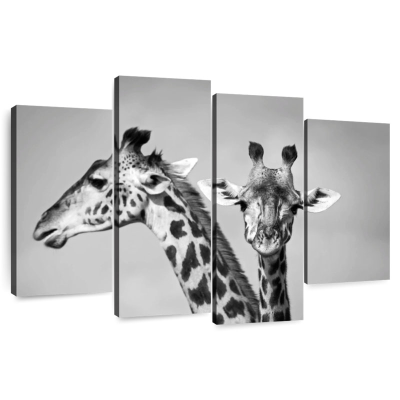 Gros plan sur des girafes de Brampt, H 27 po x l 43 po