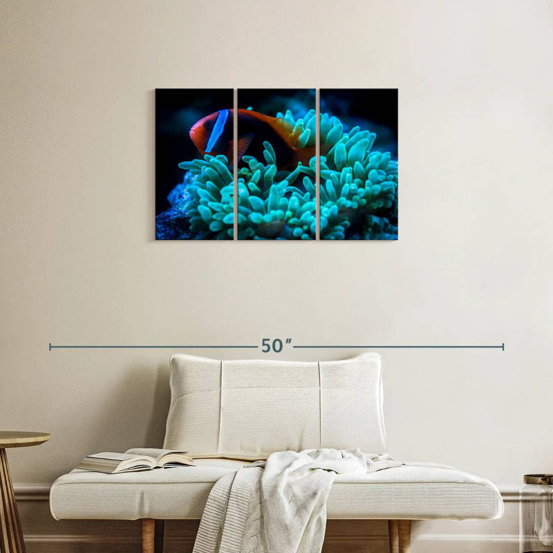 Brampt Tomato Clownfish, 20" H x 33" W