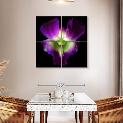 Harnek Solo Orchid