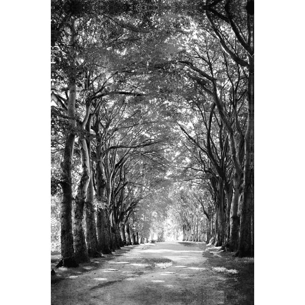 black and white art trees