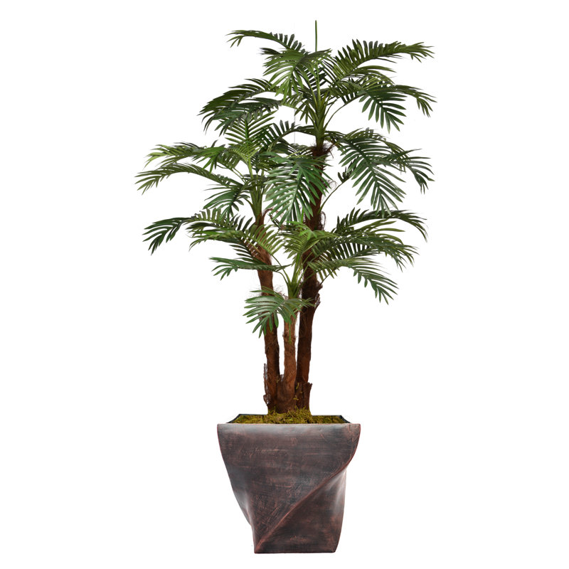 Panama Floor Palm Tree in Planter