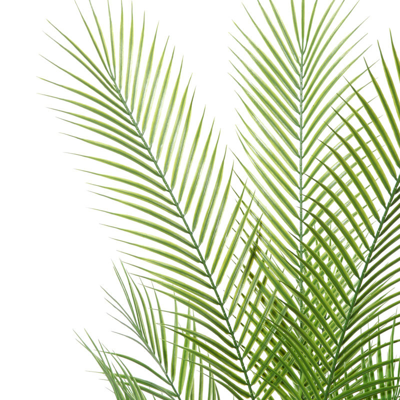 Annegreet Faux Plant, 110cm H x 16.5cm W x 16.5cm D