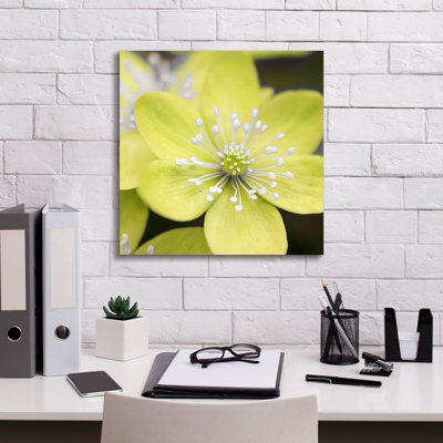 " Yellow Blossom " by PhotoINC Studio