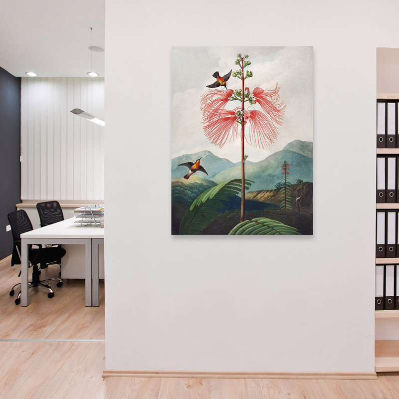 Sensitive Plant From The Temple Of Flora - Wrapped Canvas Art Prints, 100cm H x 70cm W x 4cm D
