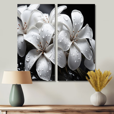 Plumeria Blooms In Stormy Greys - art mural sur toile grise