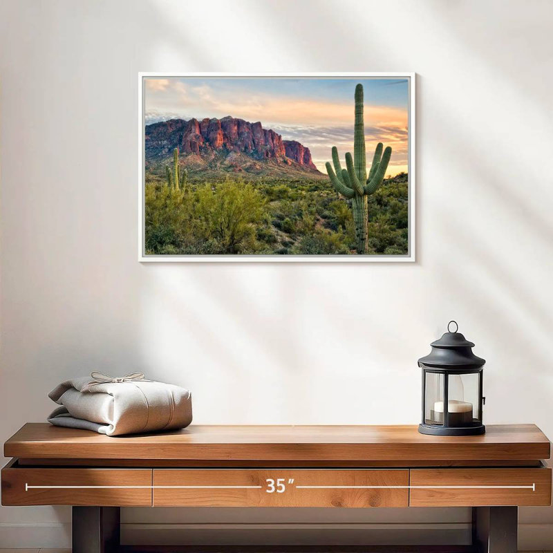 Cactus View II, Cadre flottant blanc, 19 po x 13 po