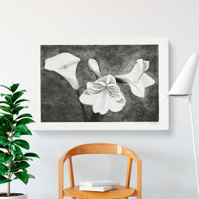 Amaryllis Flowers by Samuel De Mesquita - Wrapped Canvas
