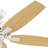Newsome 52" 5 - Blade Traditional Indoor Ceiling Fan with Pull Chain-56420982