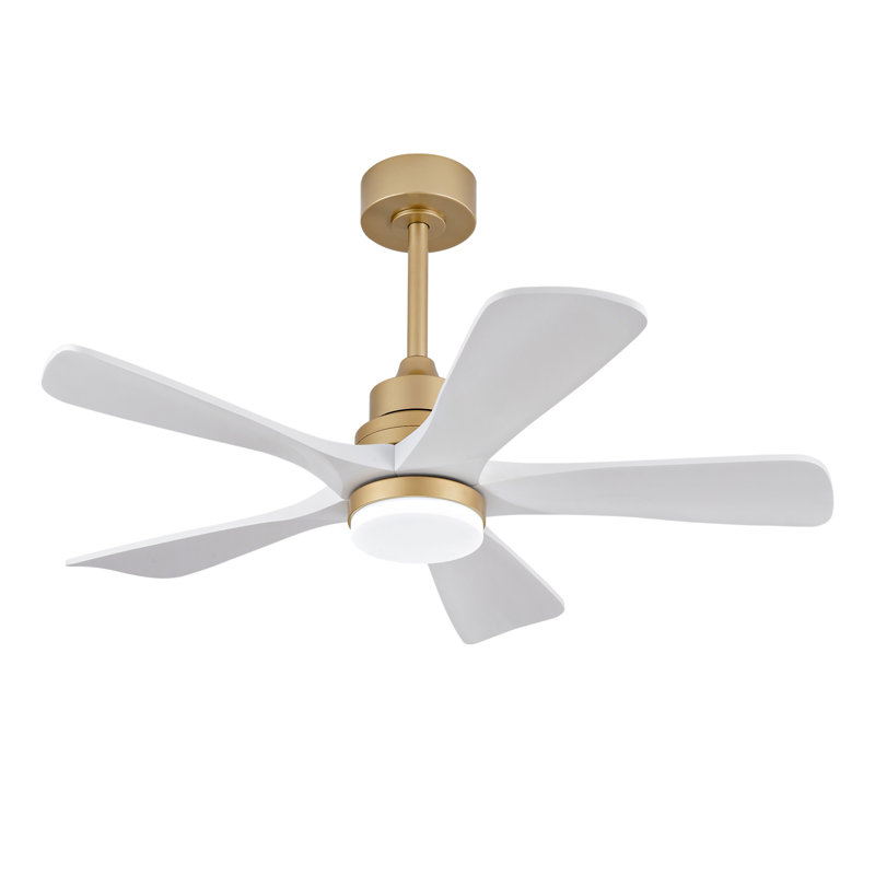 Ventilateur de plafond intérieur chaud 42 pouces avec lumière DEL à intensité variable, 5 pales en bois massif, télécommande, moteur à courant continu