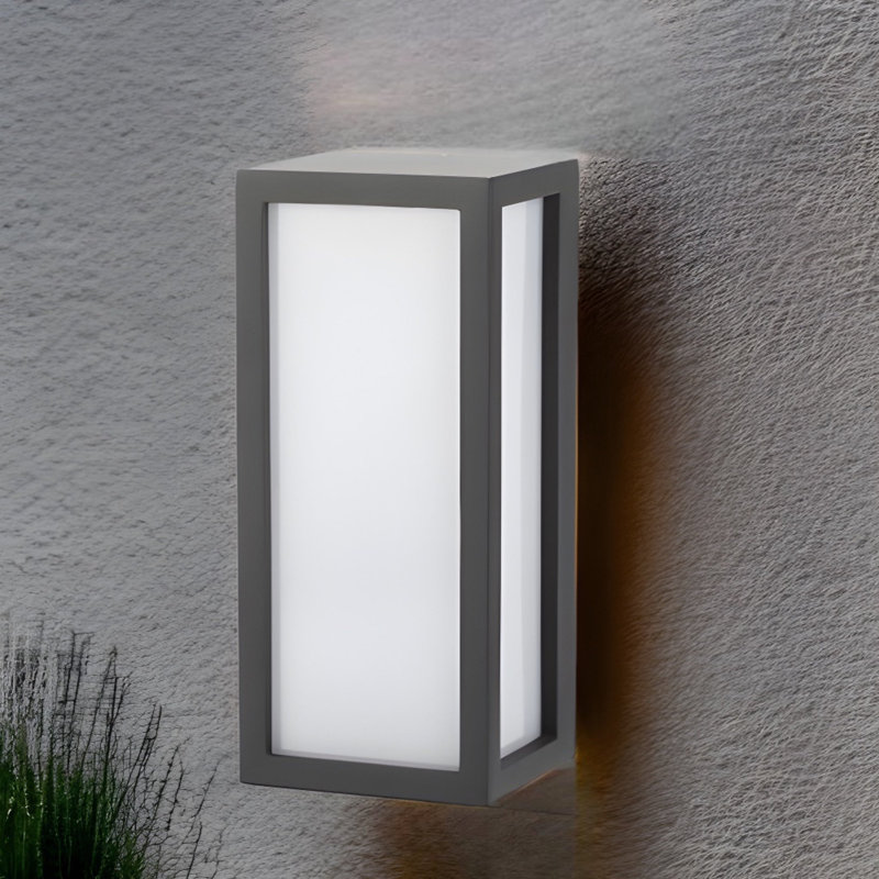 Nataleigh 18cm H Outdoor Wall Lantern