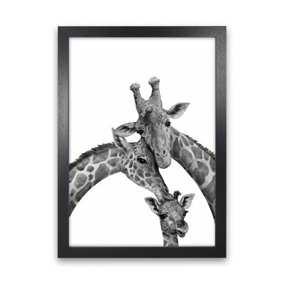 Giraffe Family - Print