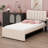 Upholstered Platform Bed With Trundle-1979447181