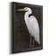 White Heron Portrait II, toile encadrée de qualité supérieure - prête à être accrochée-847946321