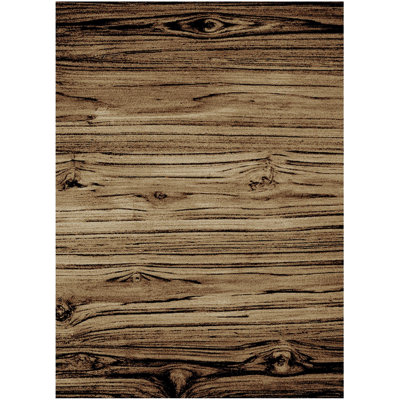 Asrani Indoor Rug