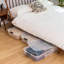 Bac sous le lit en plastique IRIS
