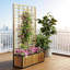Lit de jardin surélevé en bois avec treillis