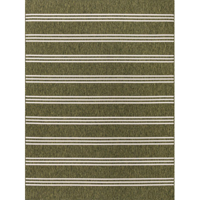 Striped Indoor / Outdoor Area Rug
