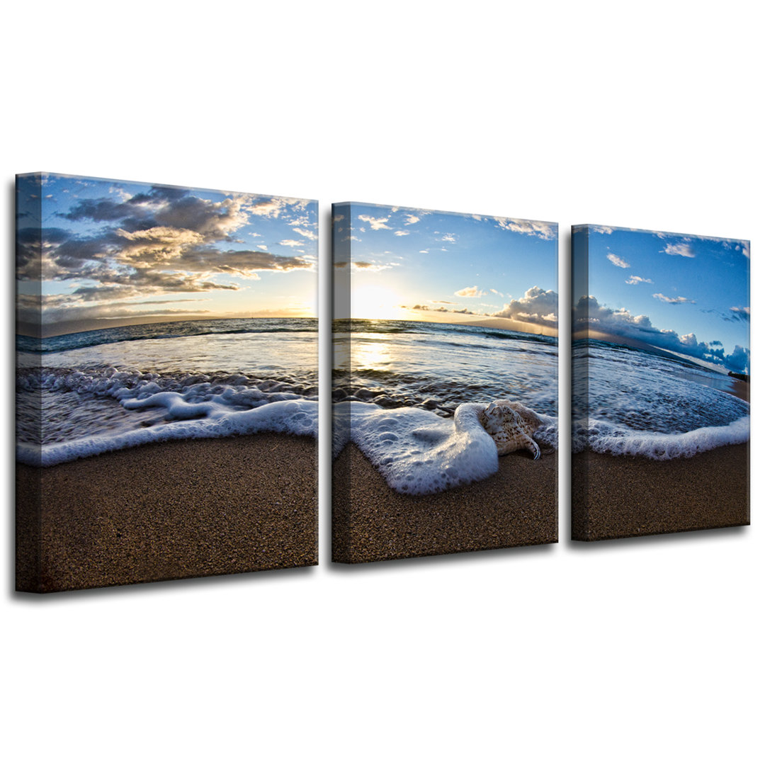 'Sea Star' 3 Piece Photographic Print on Wrapped Canvas Set Latitude Run®