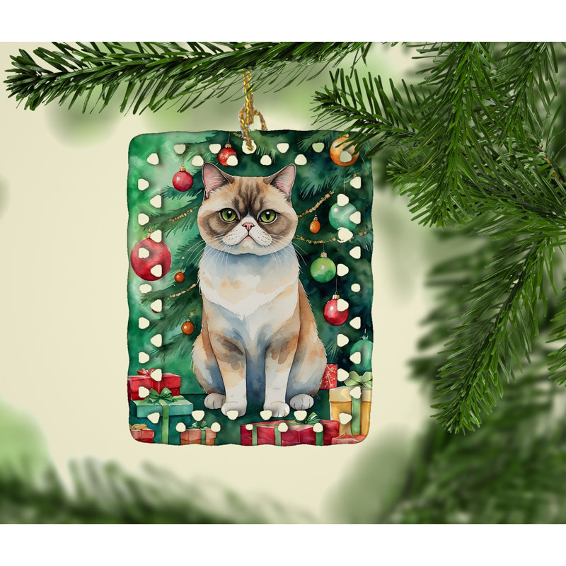 Ornement en porcelaine exotique à poil court près de l'arbre de Noël, Chat exotique à poils courts