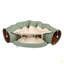 Fournitures de chat pour chat