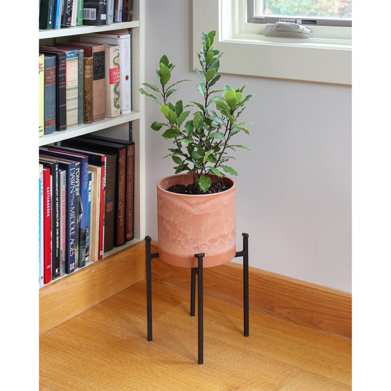 Martamique Metal Plant Stand