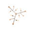 Satara 6 - Light Chandelier