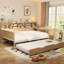 Lit de jour naturel avec lit gigogne, bureau d'étude et tablettes de rangement pour lit gigogne en bois, utilisation efficace à plusieurs niveaux