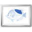 «Blue & White Tropical Fish I», impression sur papier-1650937785-1650937764