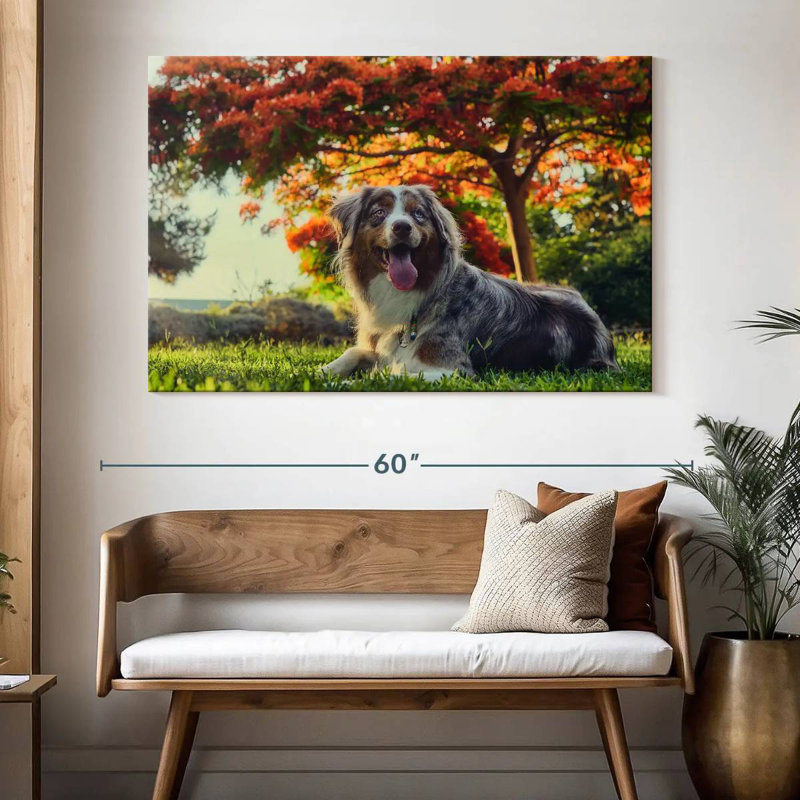 Cherry Border Collie, 34" H x 51" W