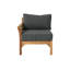 Kendrica Outdoor Teak One Arm Lounge Chair-2060398660