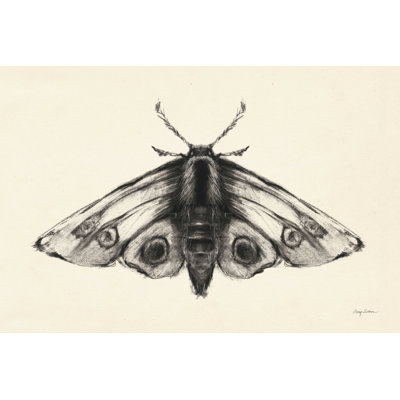 Moth II - peinture sur toile tendue