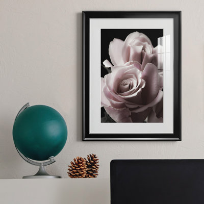 " Rose Noir II "