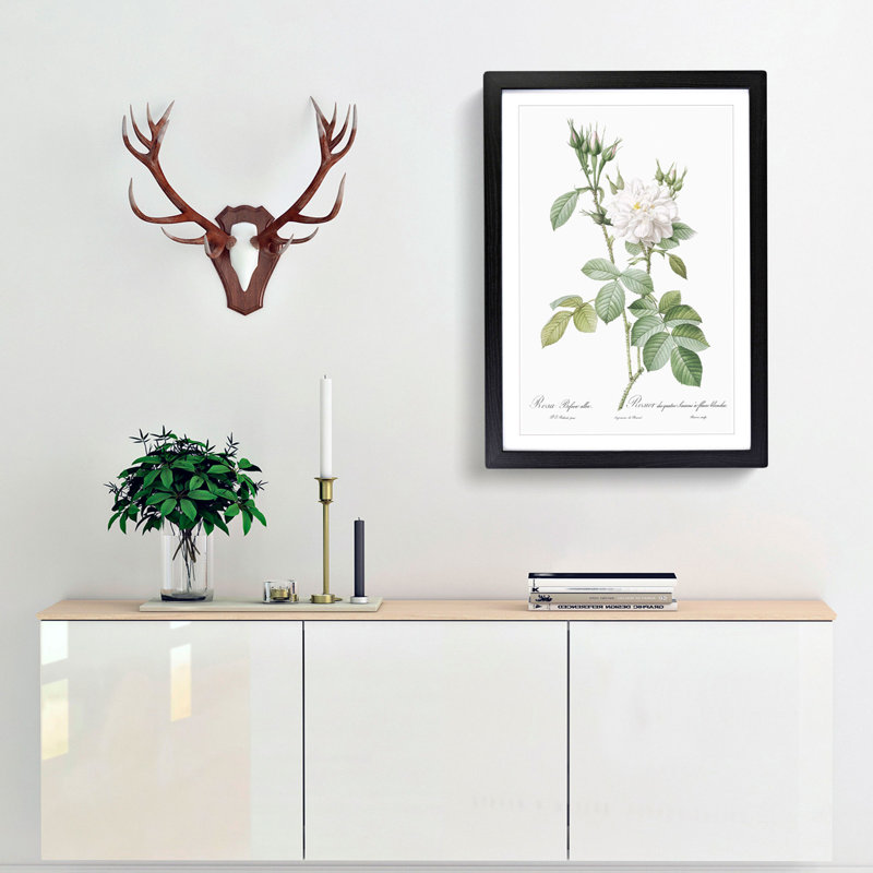 Autumn Damask Rose by Pierre-Joseph Redoute - Single Picture Frame Painting, 63cm H x 45cm W x 2cm D, Black Framed