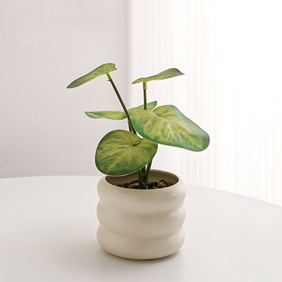 Nordic Simulation Plant Desktop Bonsai Green Plant Bonsai Indoor Office Workstation Decoration Ornaments