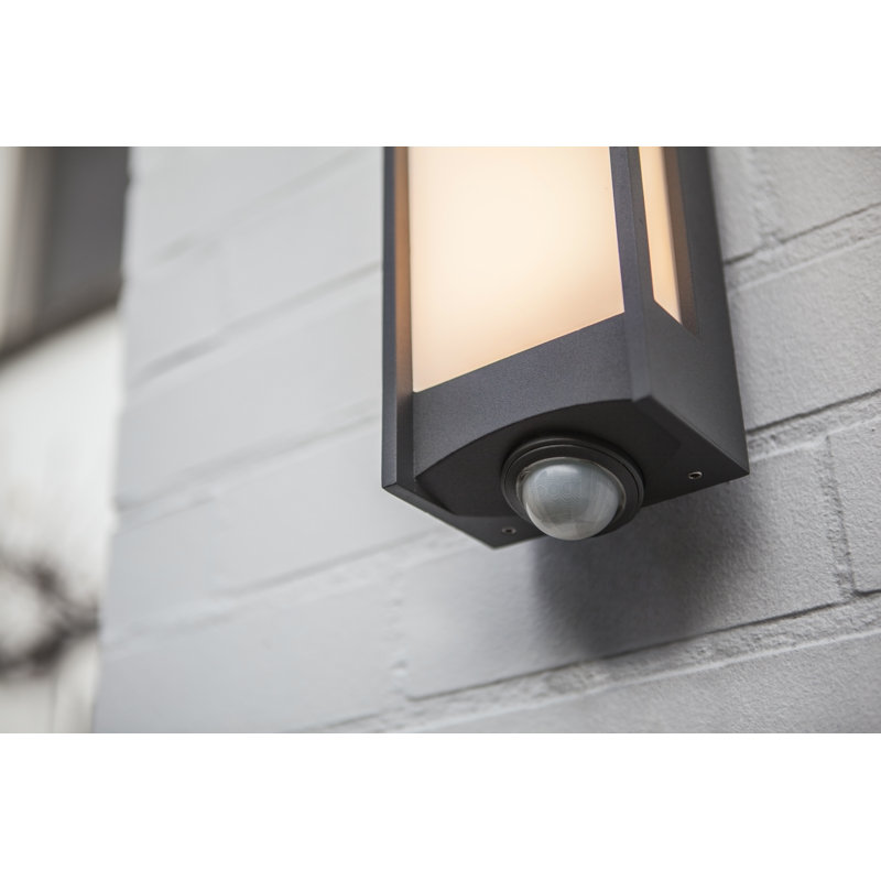 Vahram 1-Light LED Wall Spotlight