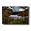  «Going Fishing» par Dante Plata, art mural sur toile, 60 po x 40 po-456869704