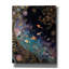  «Koi Galaxy» par Rich Monet, art mural sur toile, 26 po x 34 po-2051028501
