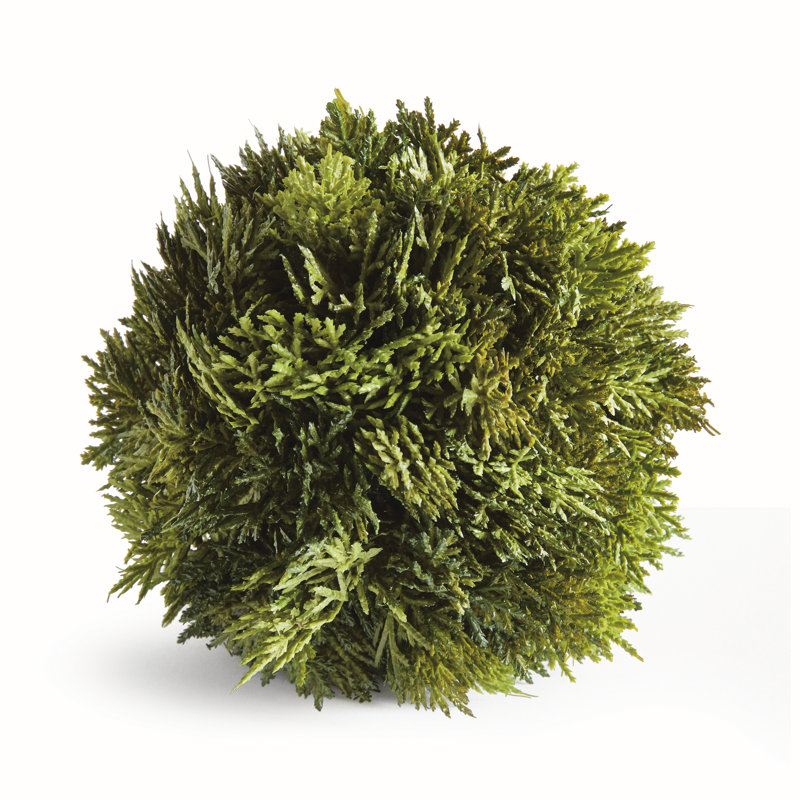 CYPRESS ORB 6.5", 6.5" H x 6.5" W x 6.5" D