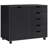 Rachana 78cm W 5 -Drawer Mobile File Cabinet, Storage Cabinet with 5 Drawers 1 Door