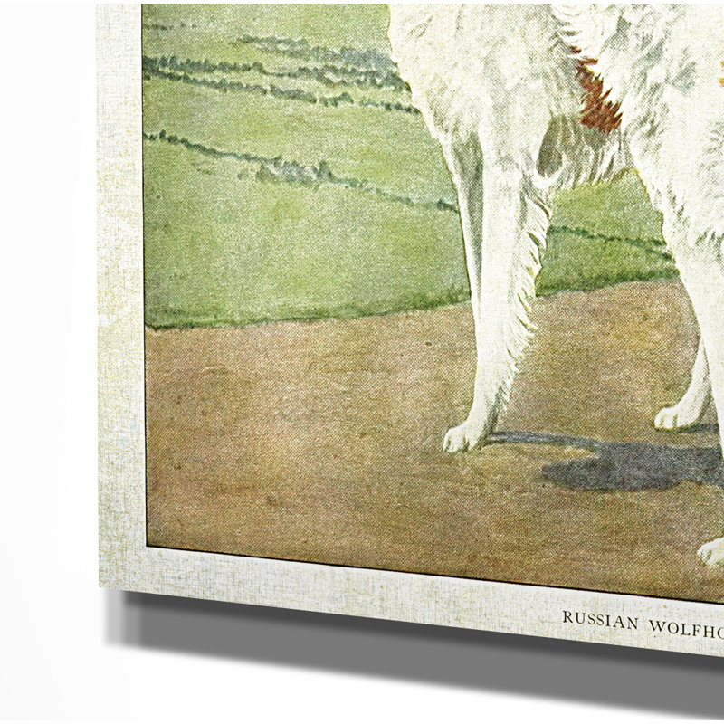 « canined assiette v », impression, H 18 po x l 27 po x P 1,5 po, Pas de tapis, Toile tendue