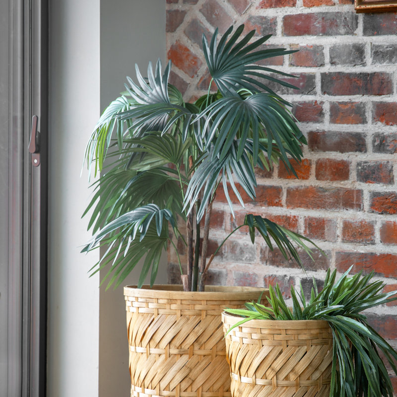 Faux Palm Plant in Pot, 117cm H x 20cm W x 15cm D