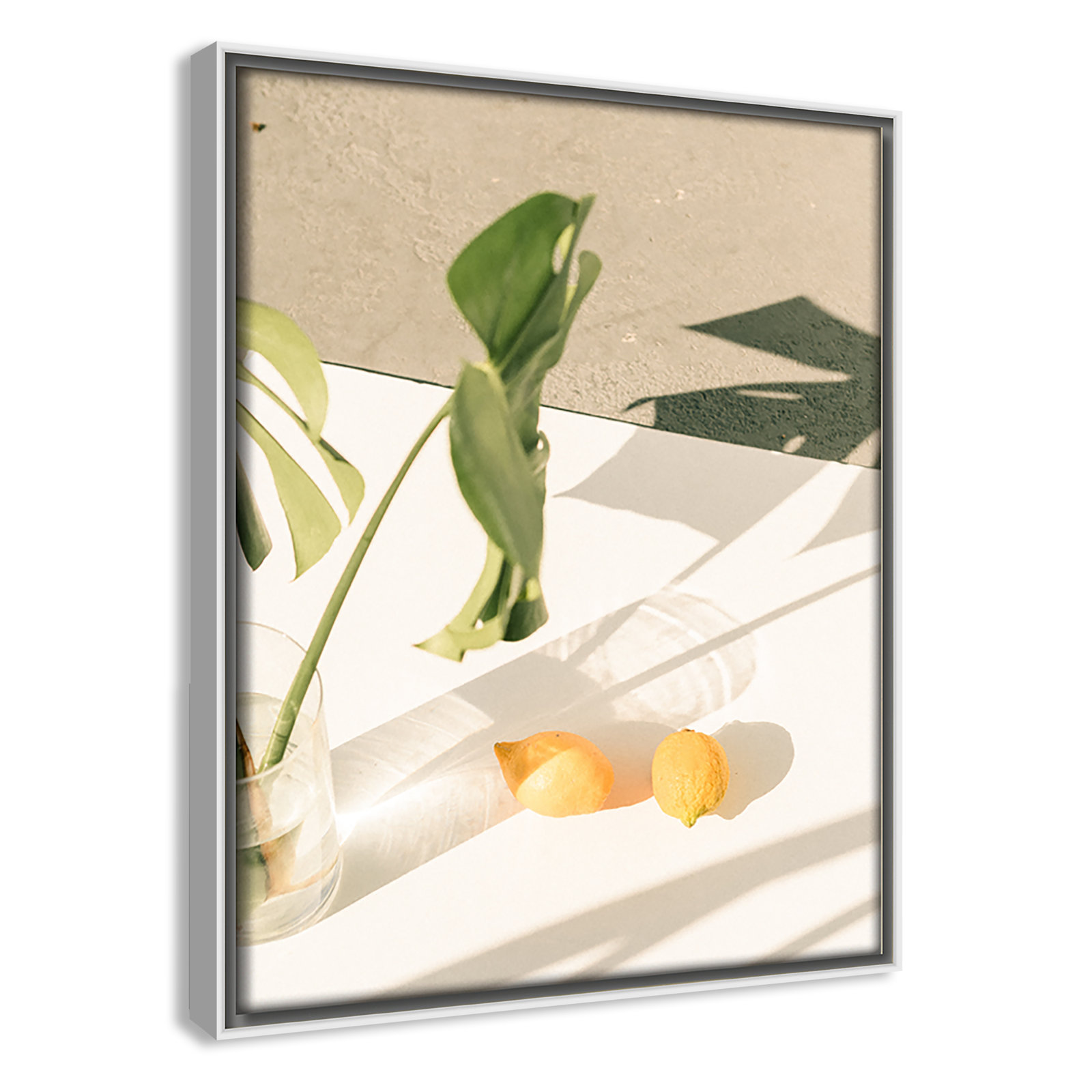 Citrus and Palms Print, 11.5'' H x 9.5'' W x 2'' D, White Framed