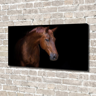 Brown Horse - Wrapped Canvas Print