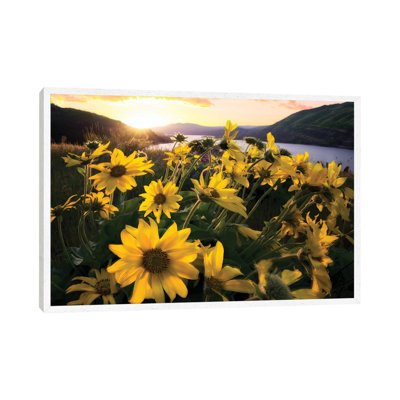 Columbia Flora by Dennis Frates - Print on Canvas