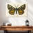 Brampt Natures Butterfly V-107852150