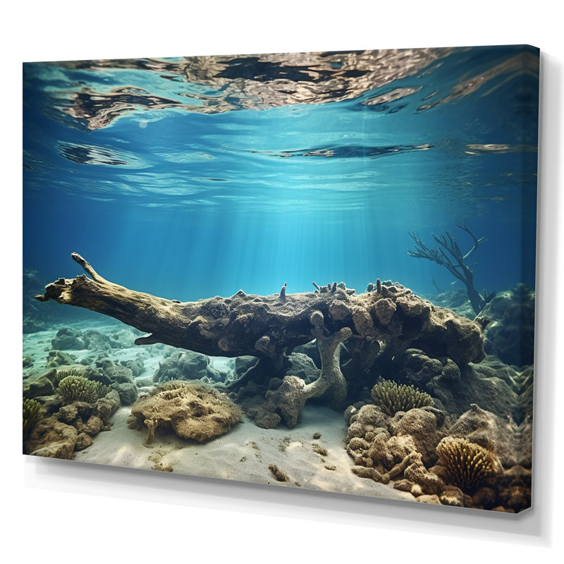 Corail au bord de la mer - plage et océan, impressions sur toile, Toile tendue, H 34 po x l 44 po x P 1,5 po