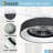 Sciotodale 18.5'' Ceiling Fan with LED Lights