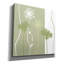«Queen Anne's Lace» par Erin Clark, art mural sur toile-1741378063