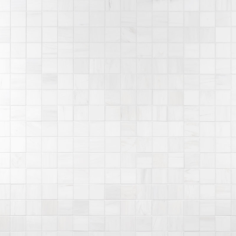 Bianco Dolomite 12 po X 12 po Carrelage mosaïque mural en marbre Honed (1 pied carré / chaque)