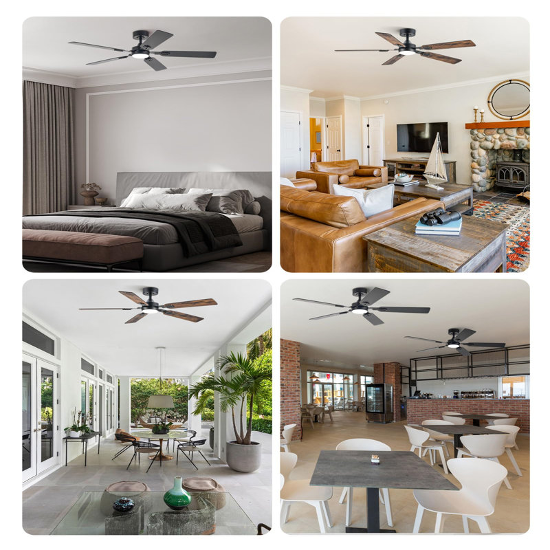 Ceiling Fan with LED Lights